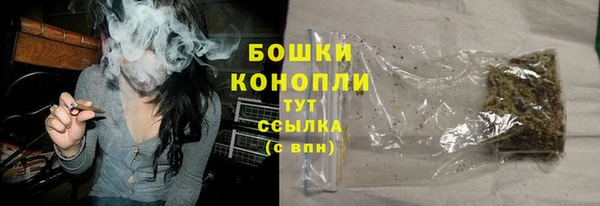 хмурый Лиски