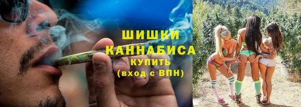 дурь Магас