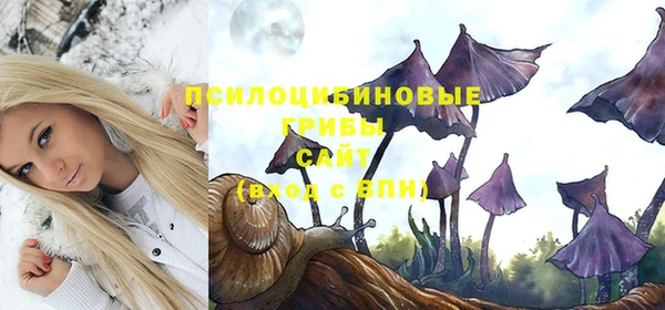 хмурый Лиски