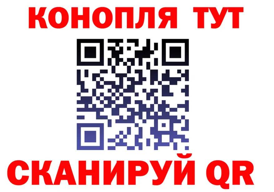 МЕФ 4 MMC ONION площадка OMG Пучеж